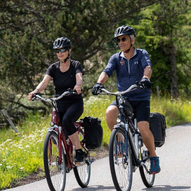 Réelle innovation sur le marché des Vélos à assistance électrique, Equi-Motion est la solution ultime d'assistance tout automatique.